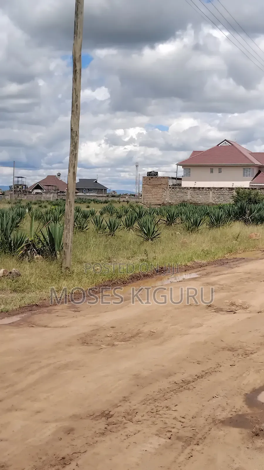 Juja, Mastore 50x100 Plot. in Juja