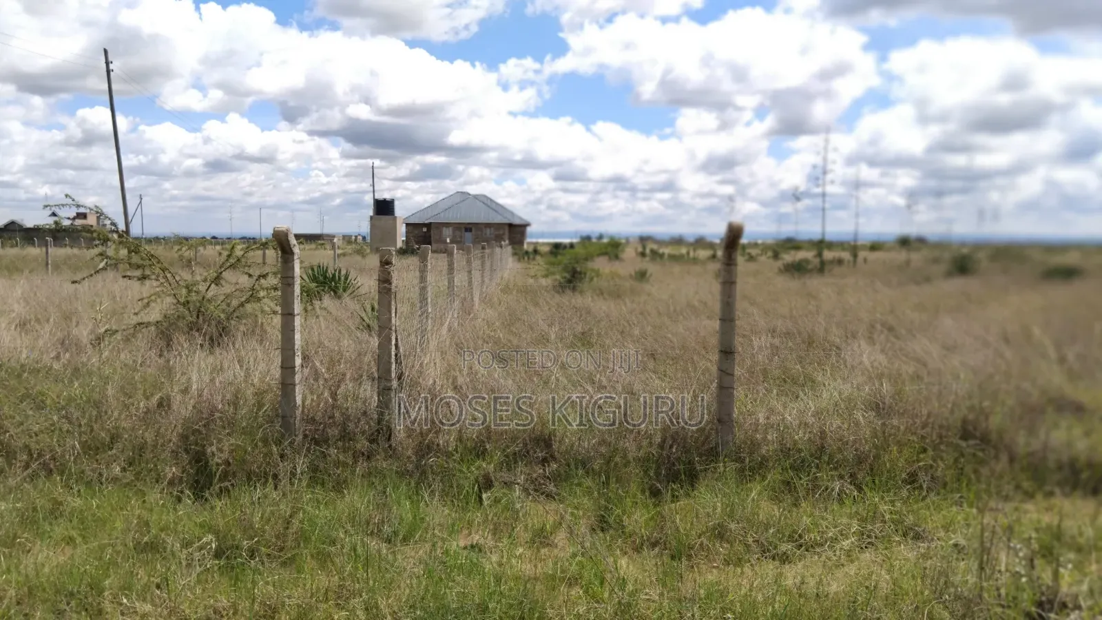 Juja, Mastore 50x100 Plot. in Juja