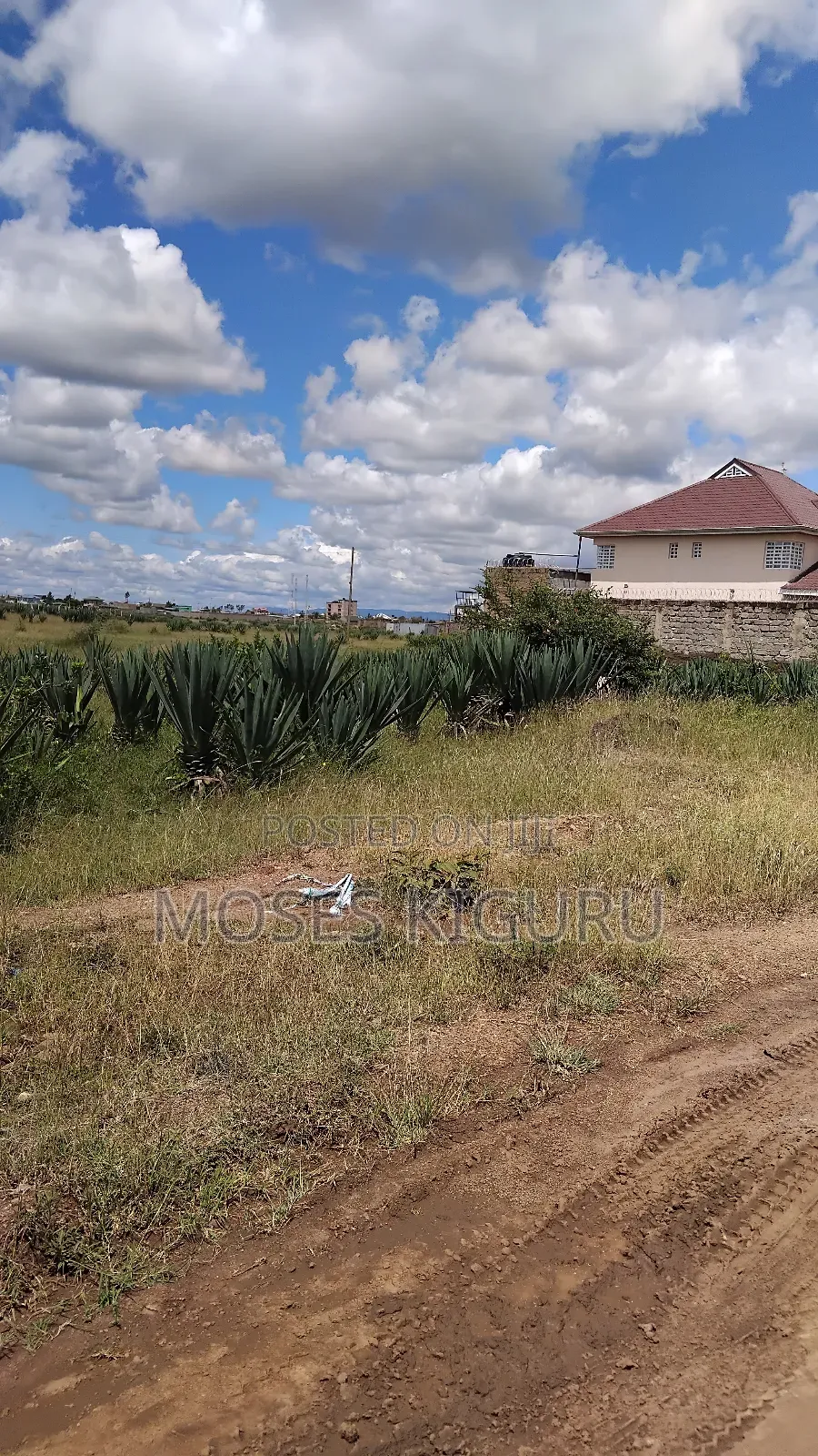 Juja, Mastore 50x100 Plot. in Juja