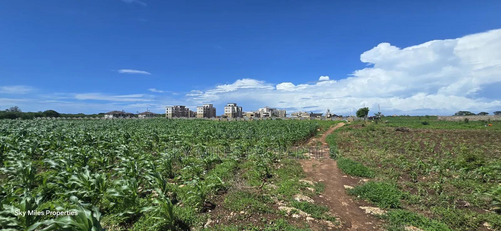 Vipingi, a Prime 1-Acre Land for Sale, Near Utalii Campus in Vipingo