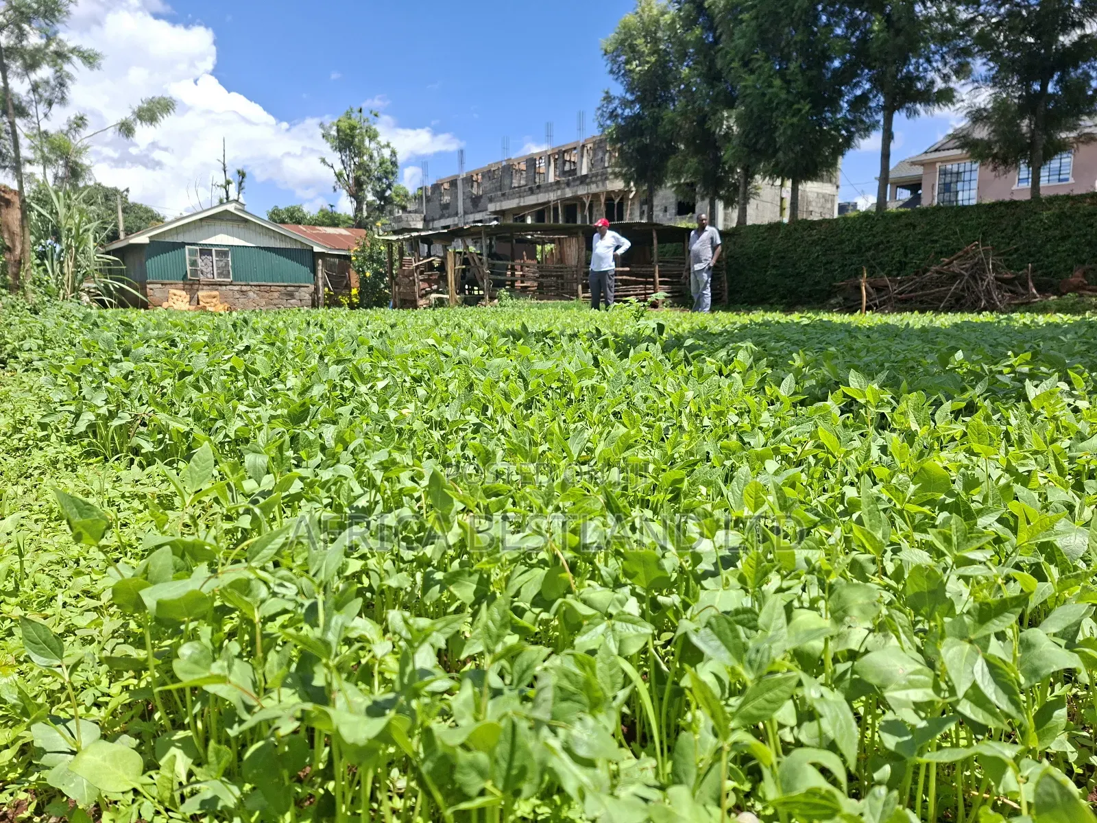 50x100 Available Plot for Sale in Gathiga Kabete in Gathiga