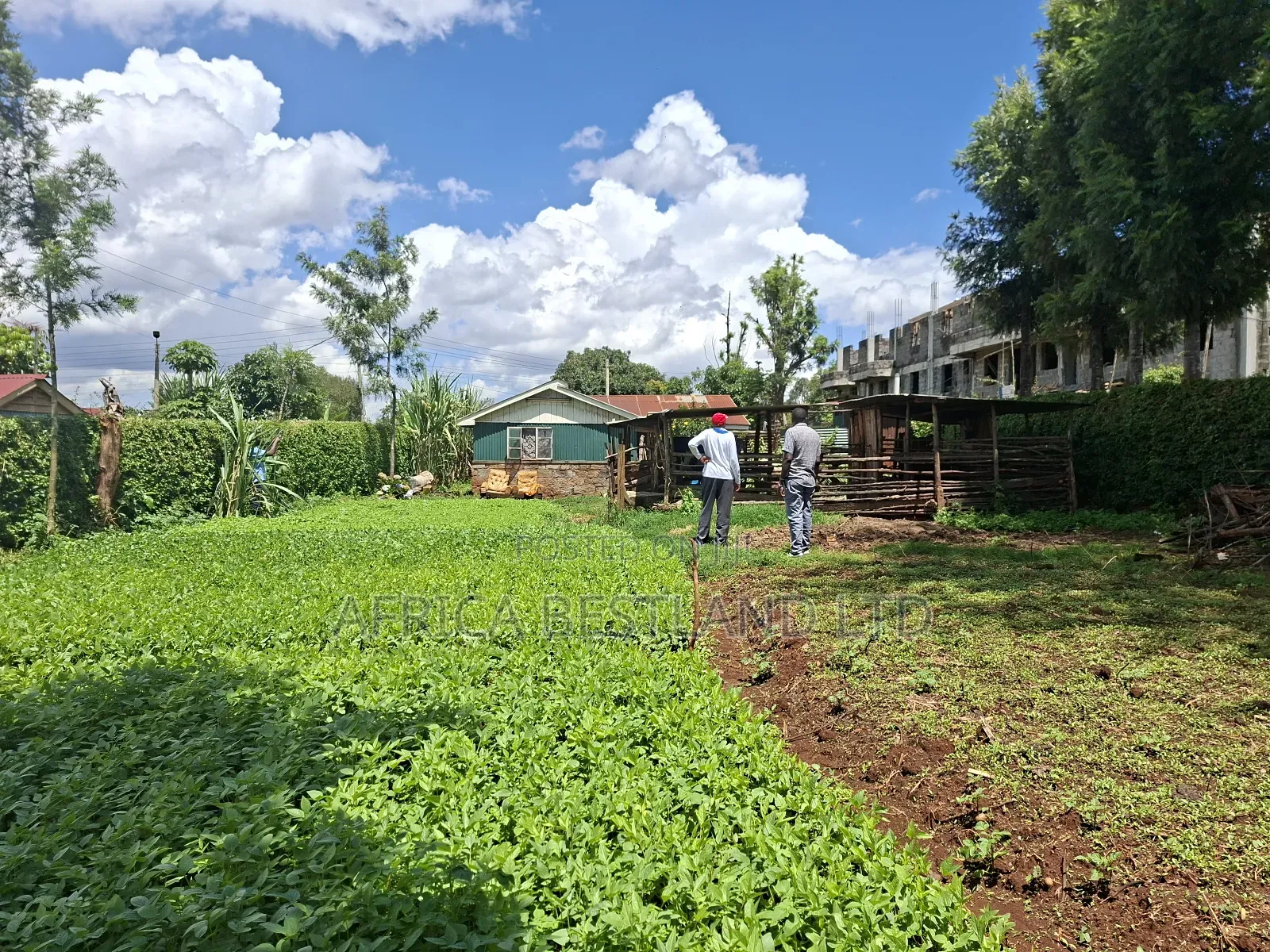 50x100 Available Plot for Sale in Gathiga Kabete in Gathiga