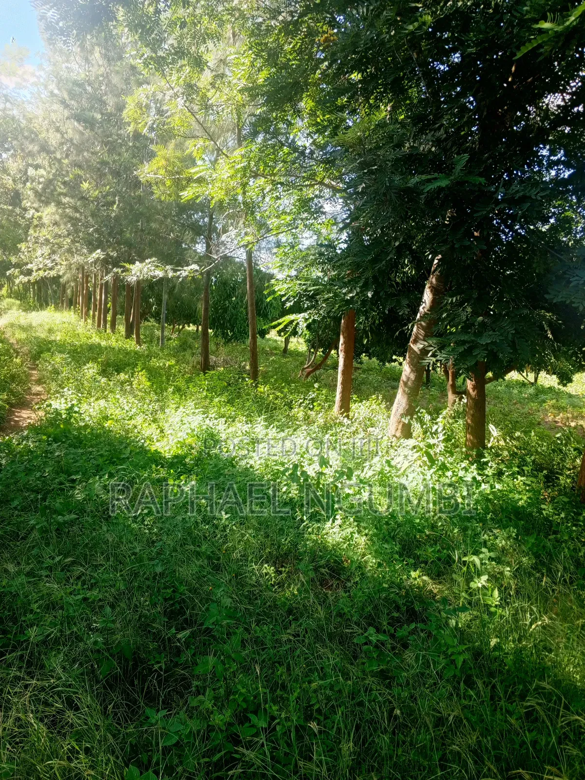 15 Acres at Masii Mwala Musaalani in Machakos Town