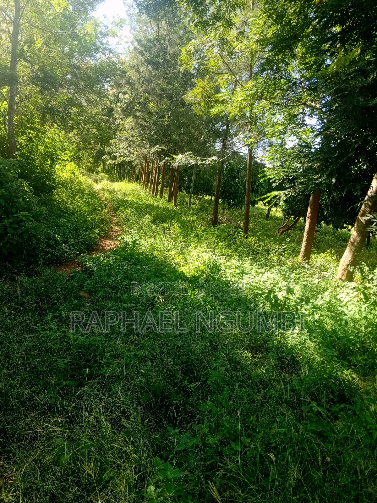 15 Acres at Masii Mwala Musaalani in Machakos Town