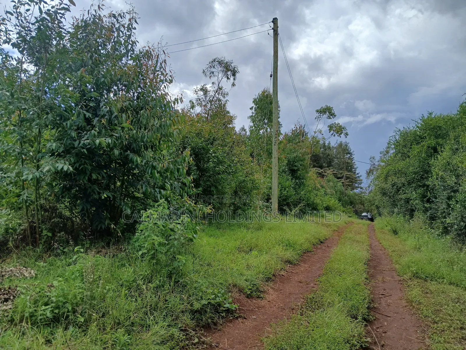 Distress! Prime Redsoil 50 by 100 Plot in Upper Matasia in Matasia