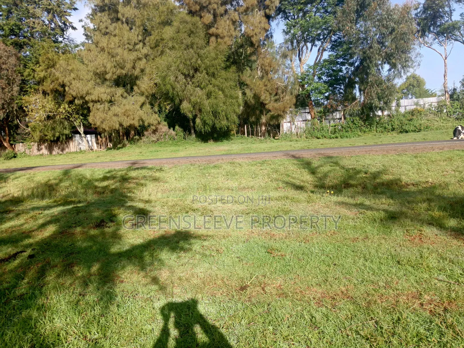 Land For Sale in Oluulua