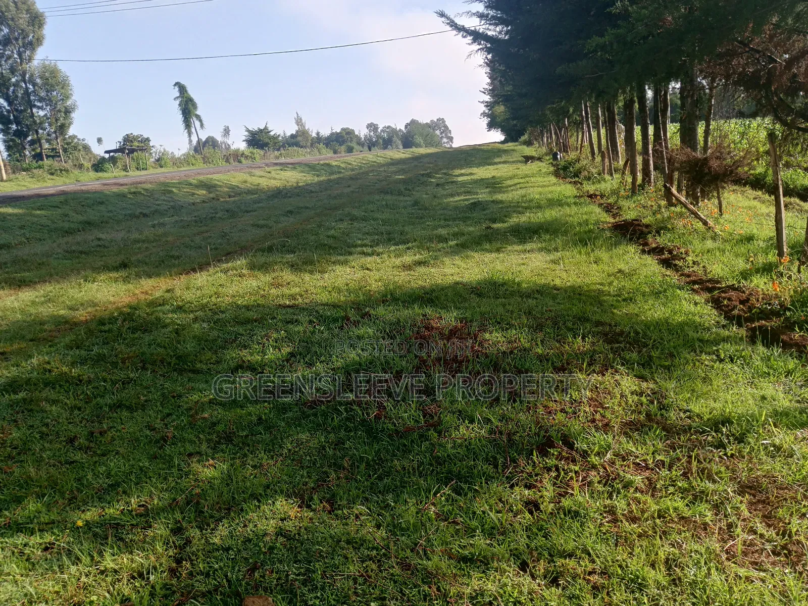 Land For Sale in Oluulua