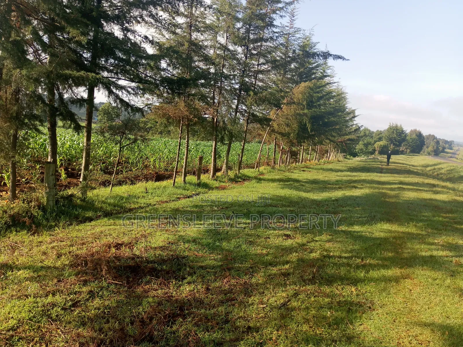 Land For Sale in Oluulua