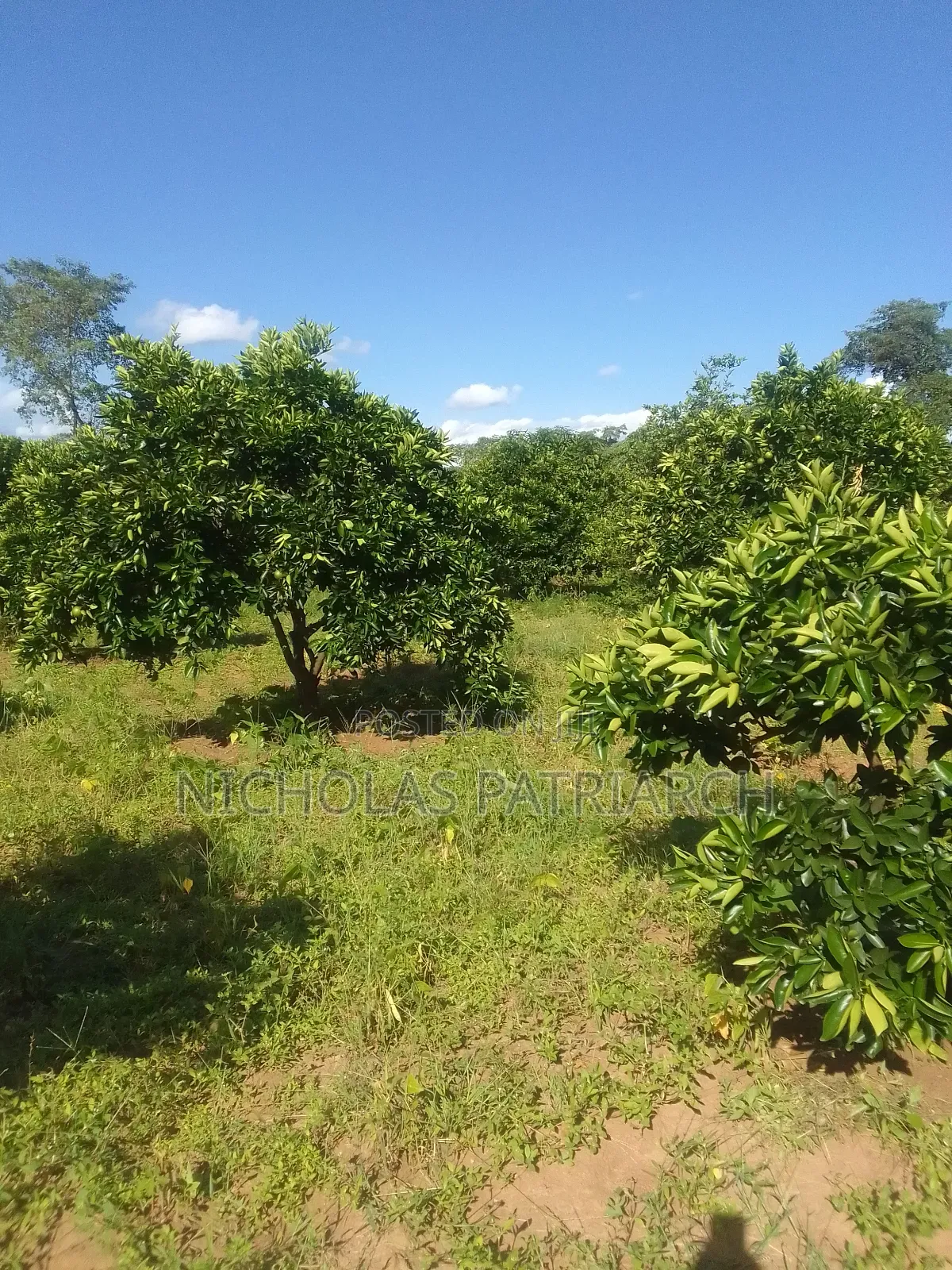 14 Acres Mwala-Musaalani Per Acre in Mbiuni