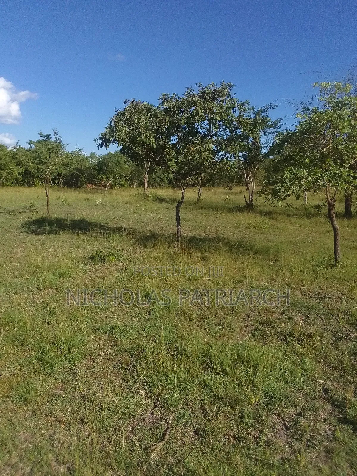 14 Acres Mwala-Musaalani Per Acre in Mbiuni