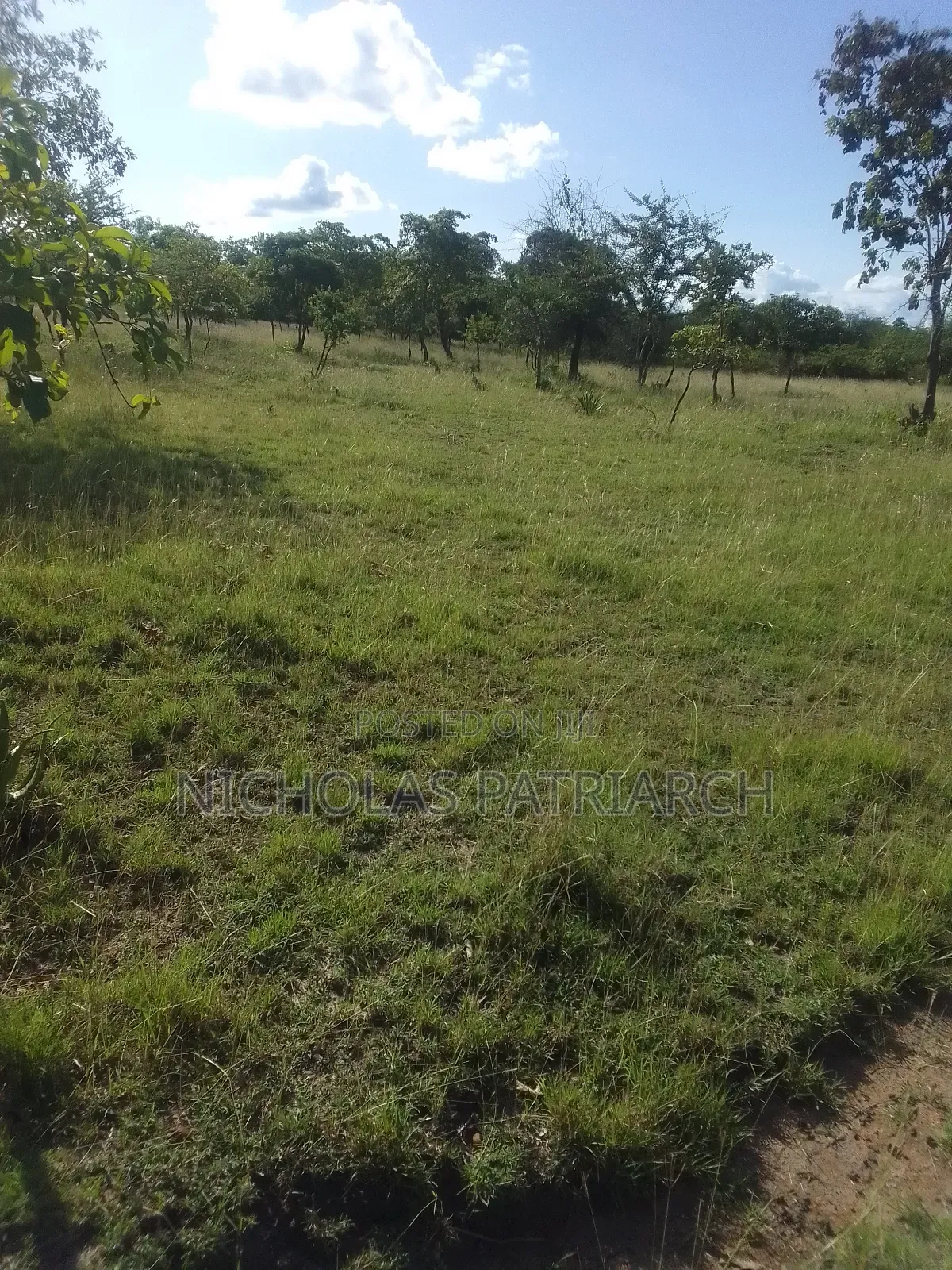 14 Acres Mwala-Musaalani Per Acre in Mbiuni