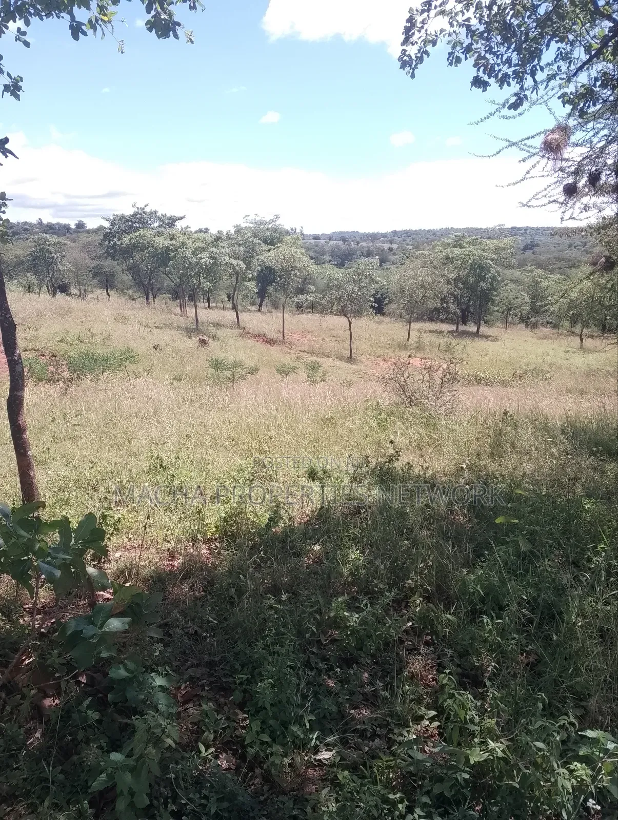 Masii-Kaingutu 6 Acres Red Soil. in Machakos Town