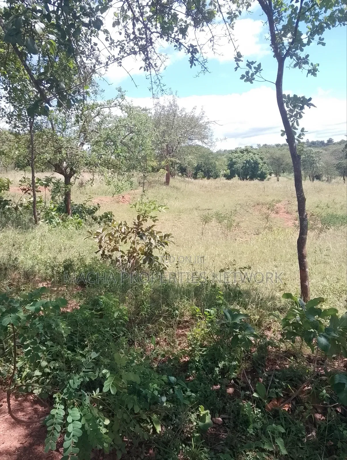 Masii-Kaingutu 6 Acres Red Soil. in Machakos Town