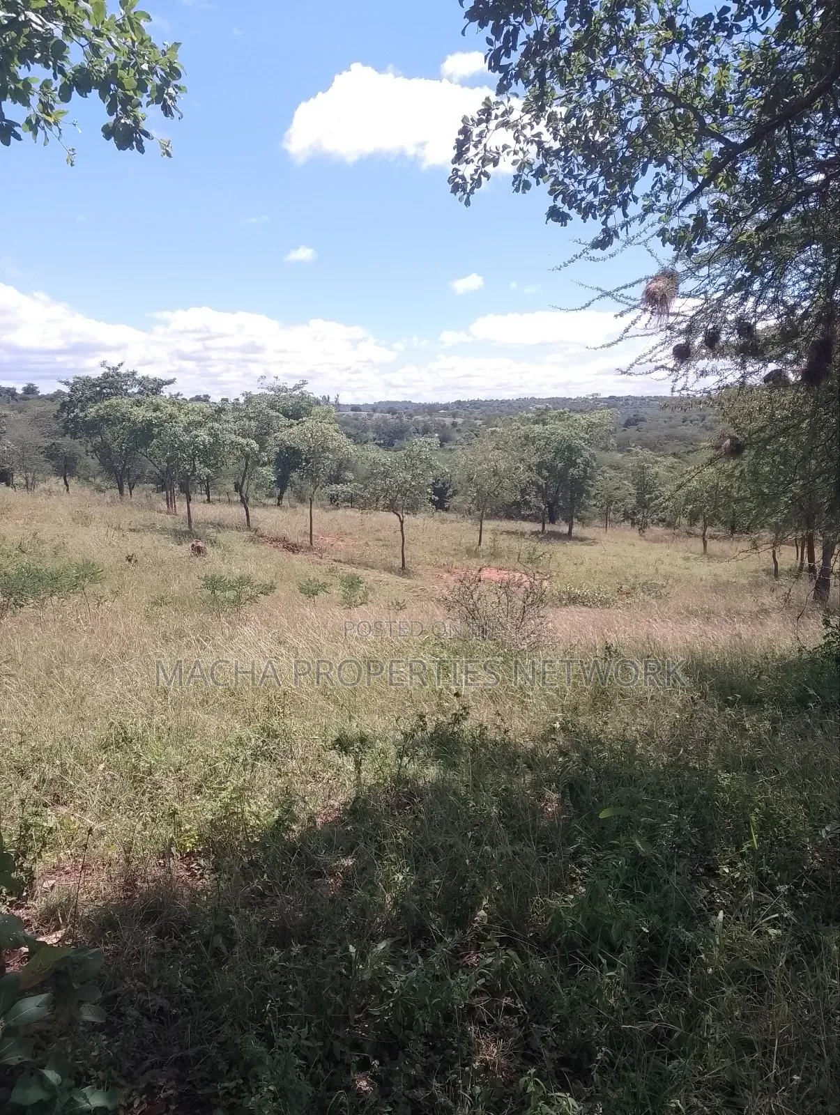 Masii-Kaingutu 6 Acres Red Soil. in Machakos Town