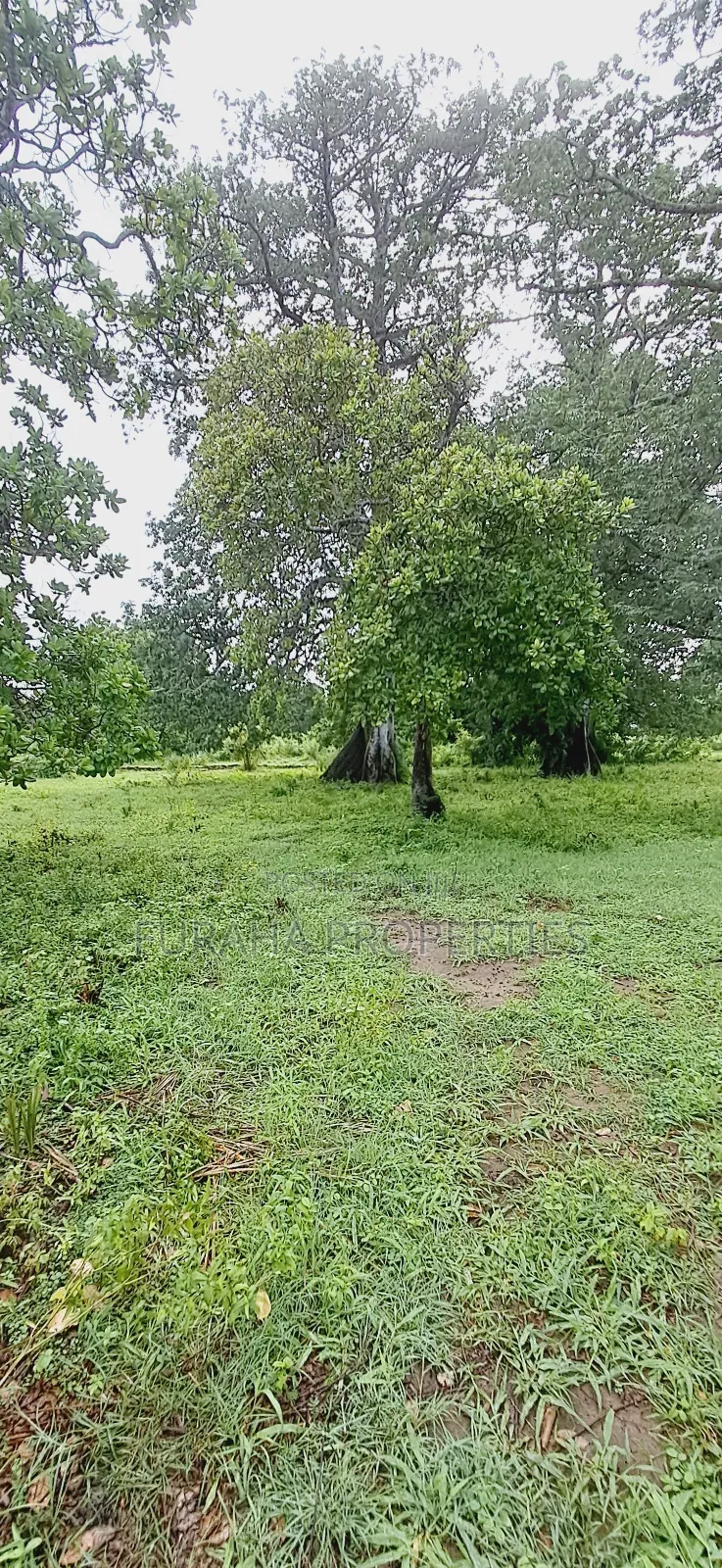 For Sele Quater/Half Acre Plots Vipingo in Vipingo