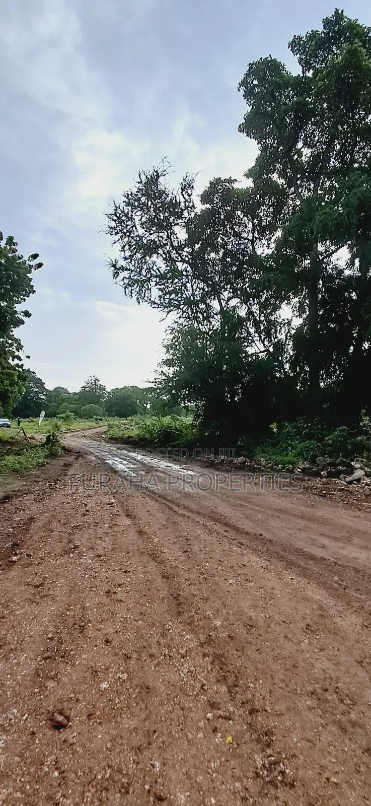 For Sele Quater/Half Acre Plots Vipingo in Vipingo