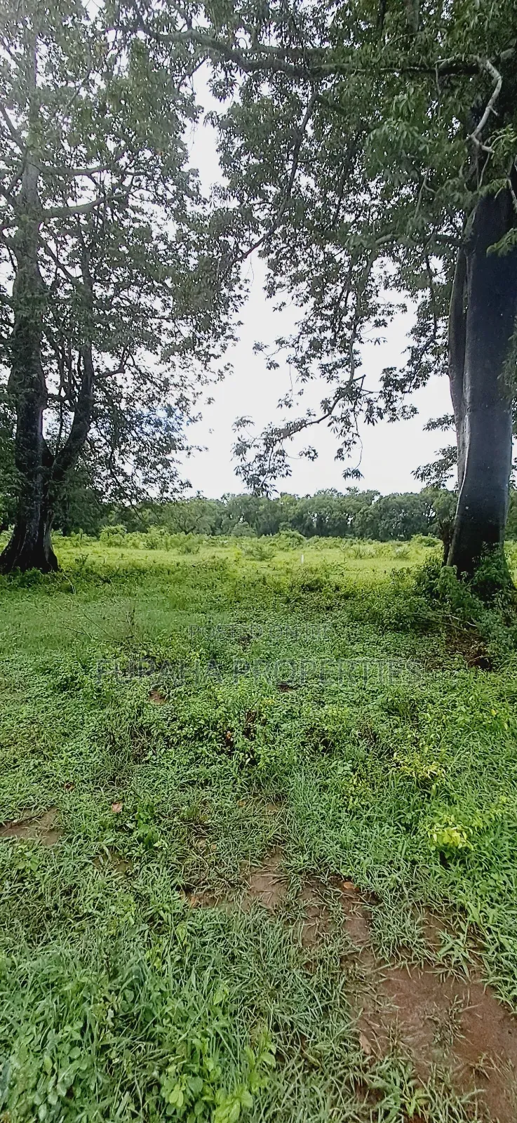 For Sele Quater/Half Acre Plots Vipingo in Vipingo