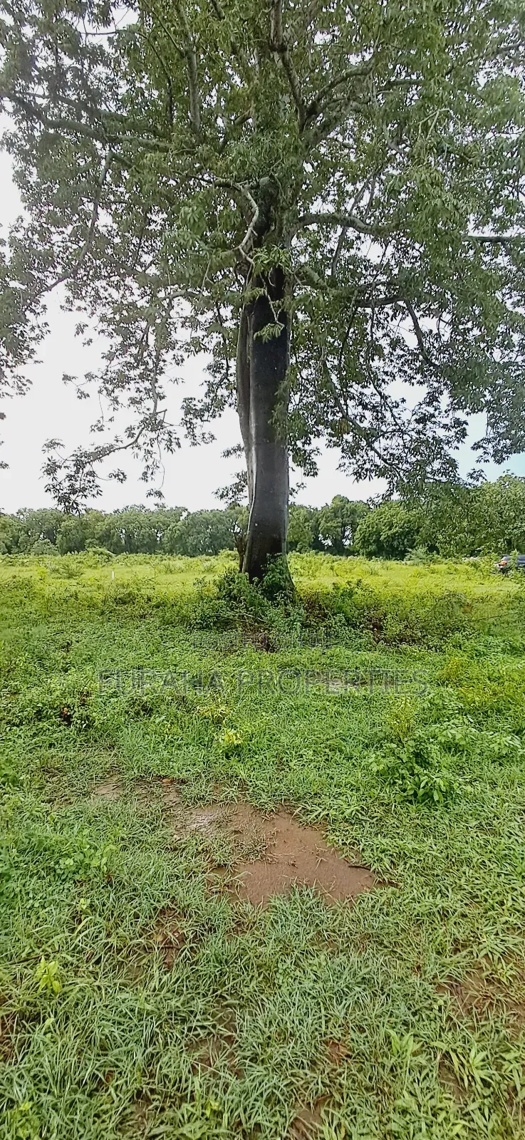 For Sele Quater/Half Acre Plots Vipingo in Vipingo
