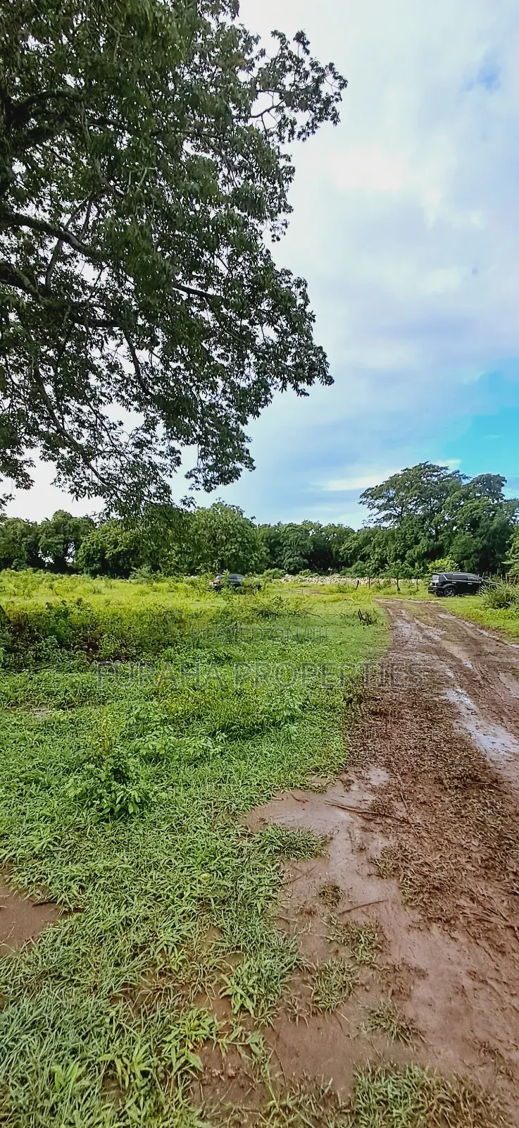 For Sele Quater/Half Acre Plots Vipingo in Vipingo
