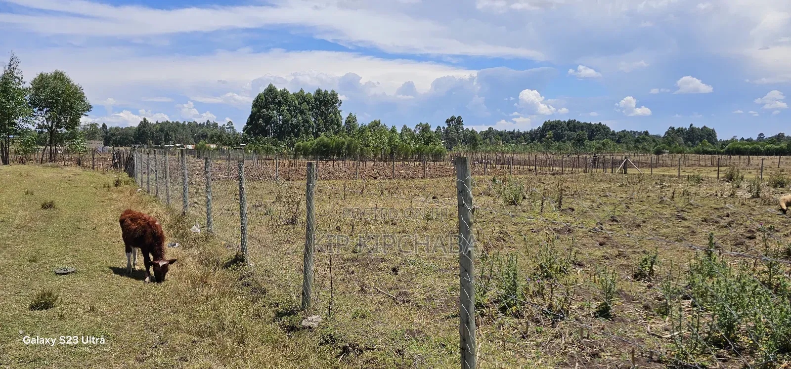 Prime Plot for Sale in Royalton Annex Eldoret in Racecourse