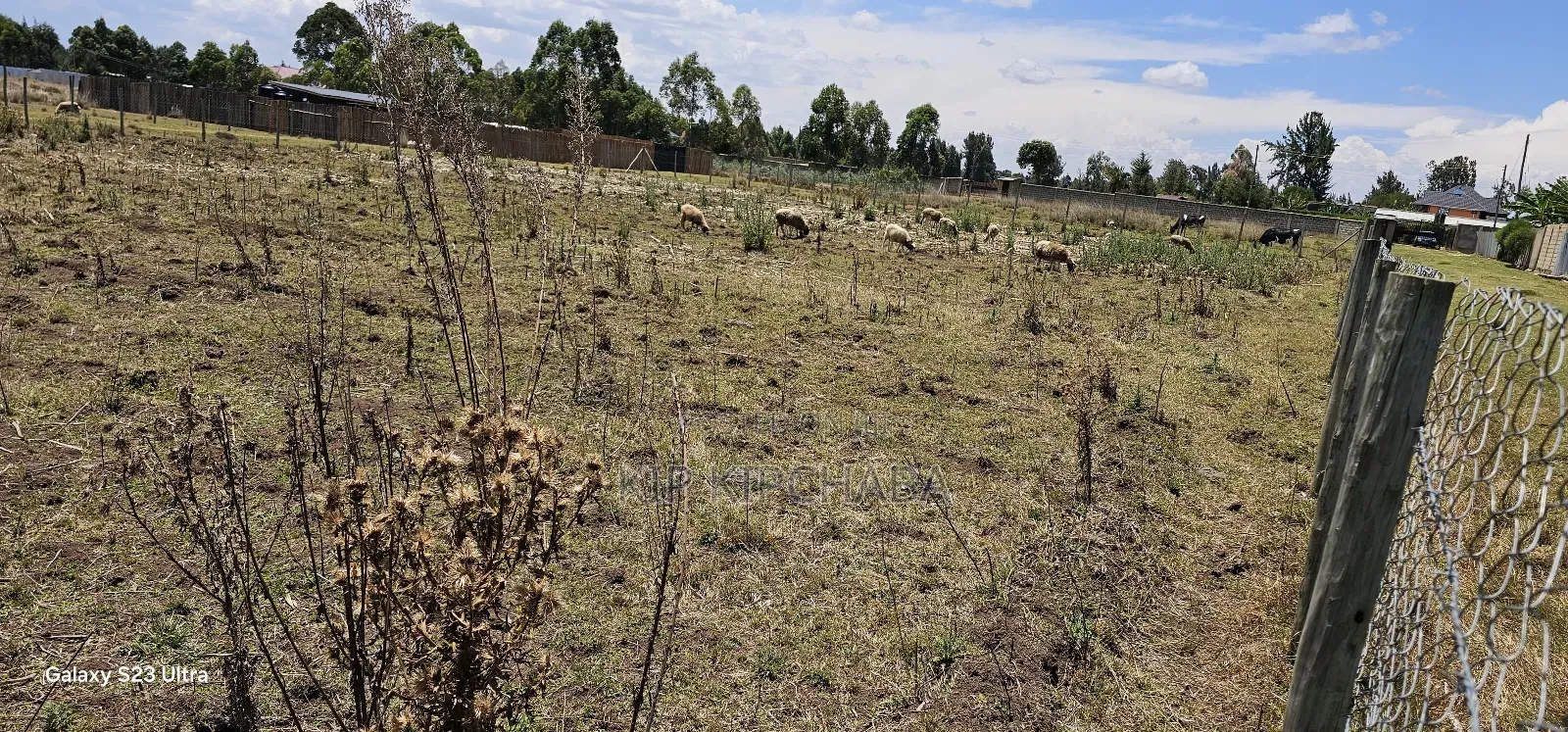Prime Plot for Sale in Royalton Annex Eldoret in Racecourse