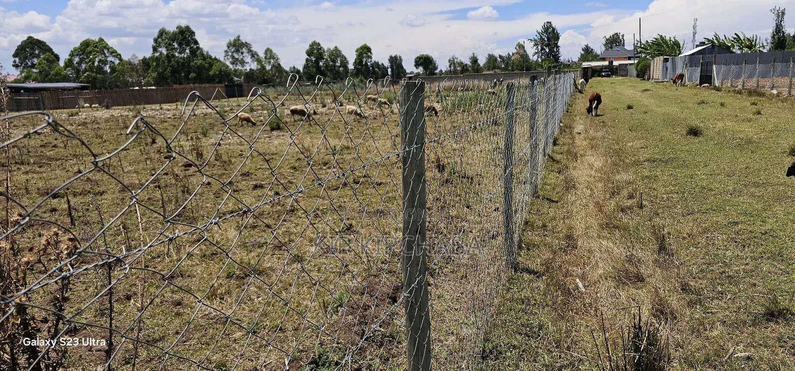 Prime Plot for Sale in Royalton Annex Eldoret in Racecourse