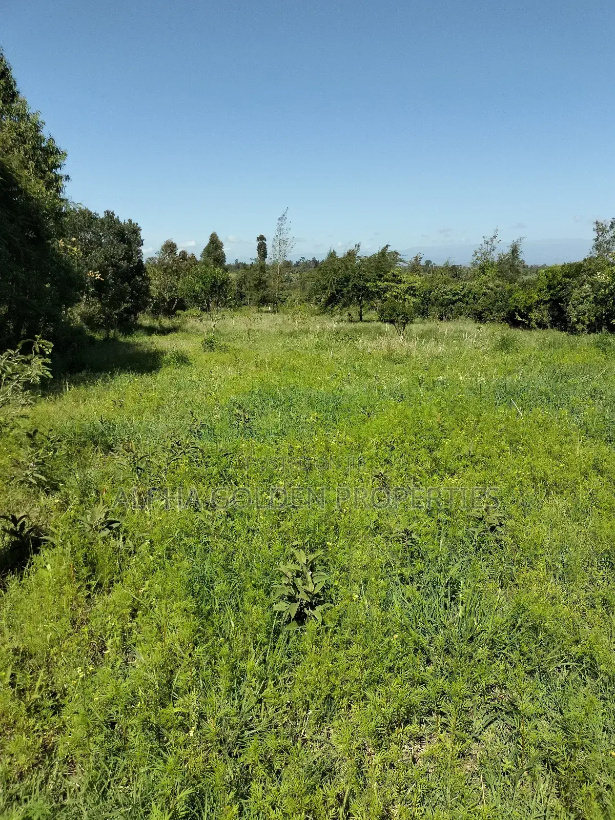 Land 1 Acre In Nanyuki Bantu Resort Area in Gakawa