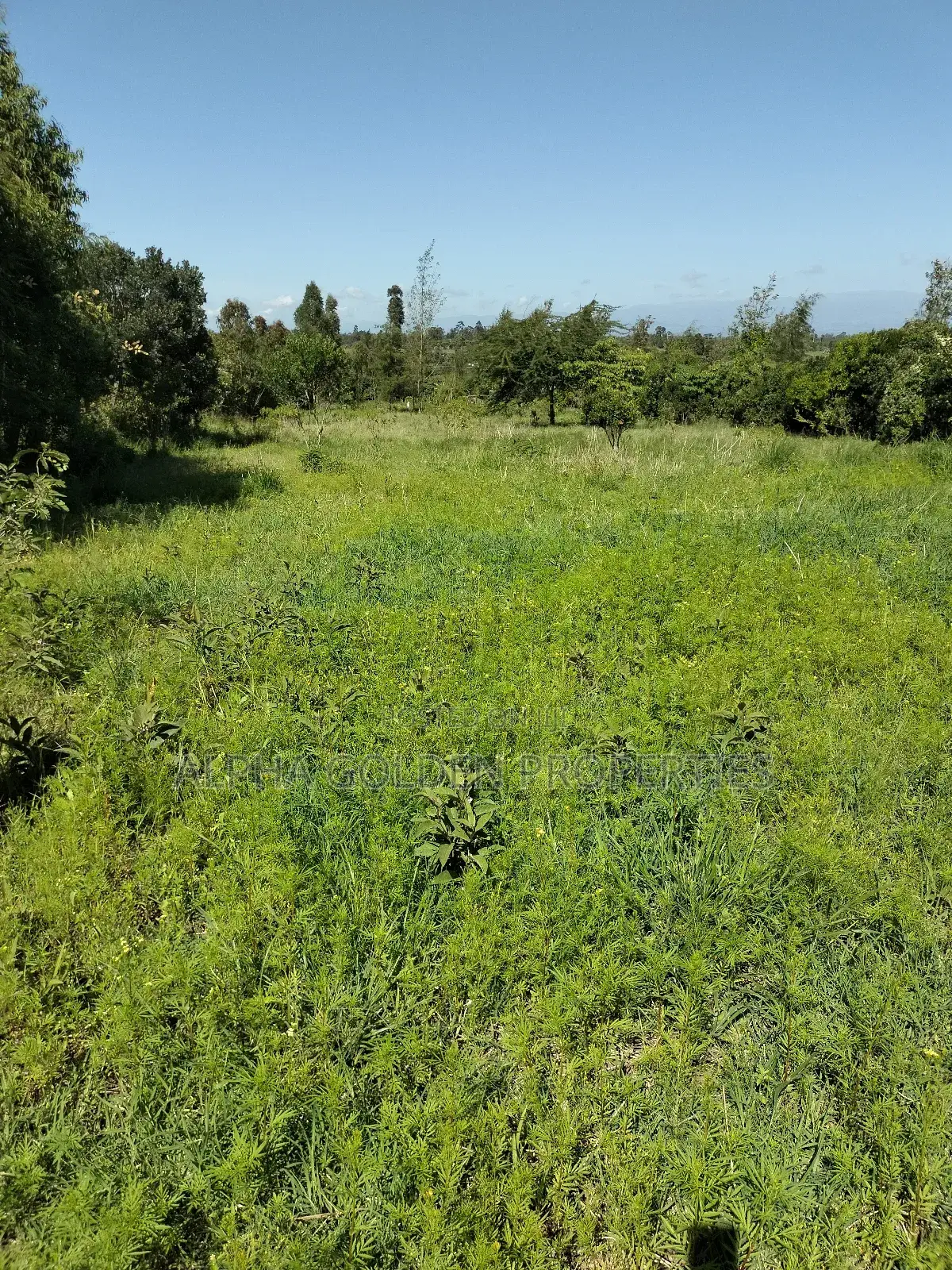 Land 1 Acre In Nanyuki Bantu Resort Area in Gakawa