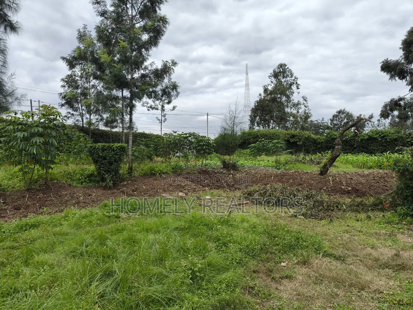 Quarter Acre Plot in Ngong, Kerarapon Drive Touching Tarmac in Kerarapon