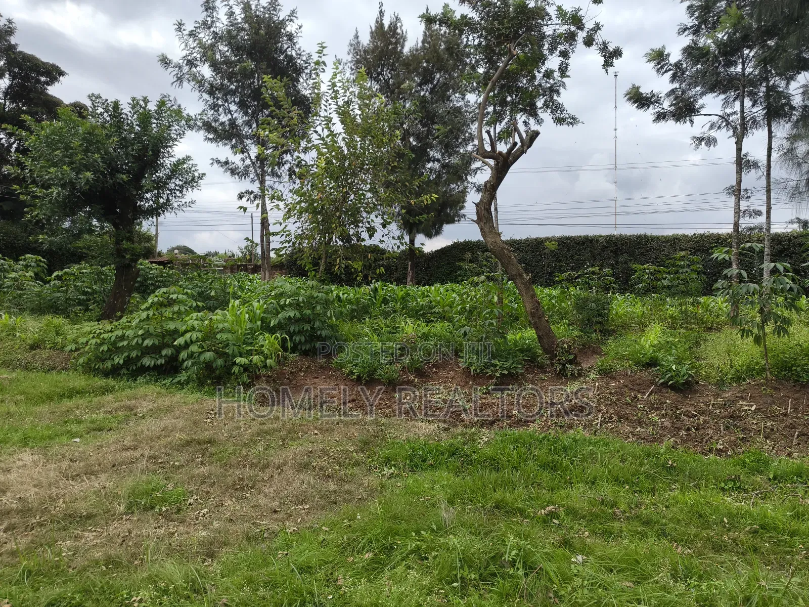 Quarter Acre Plot in Ngong, Kerarapon Drive Touching Tarmac in Kerarapon