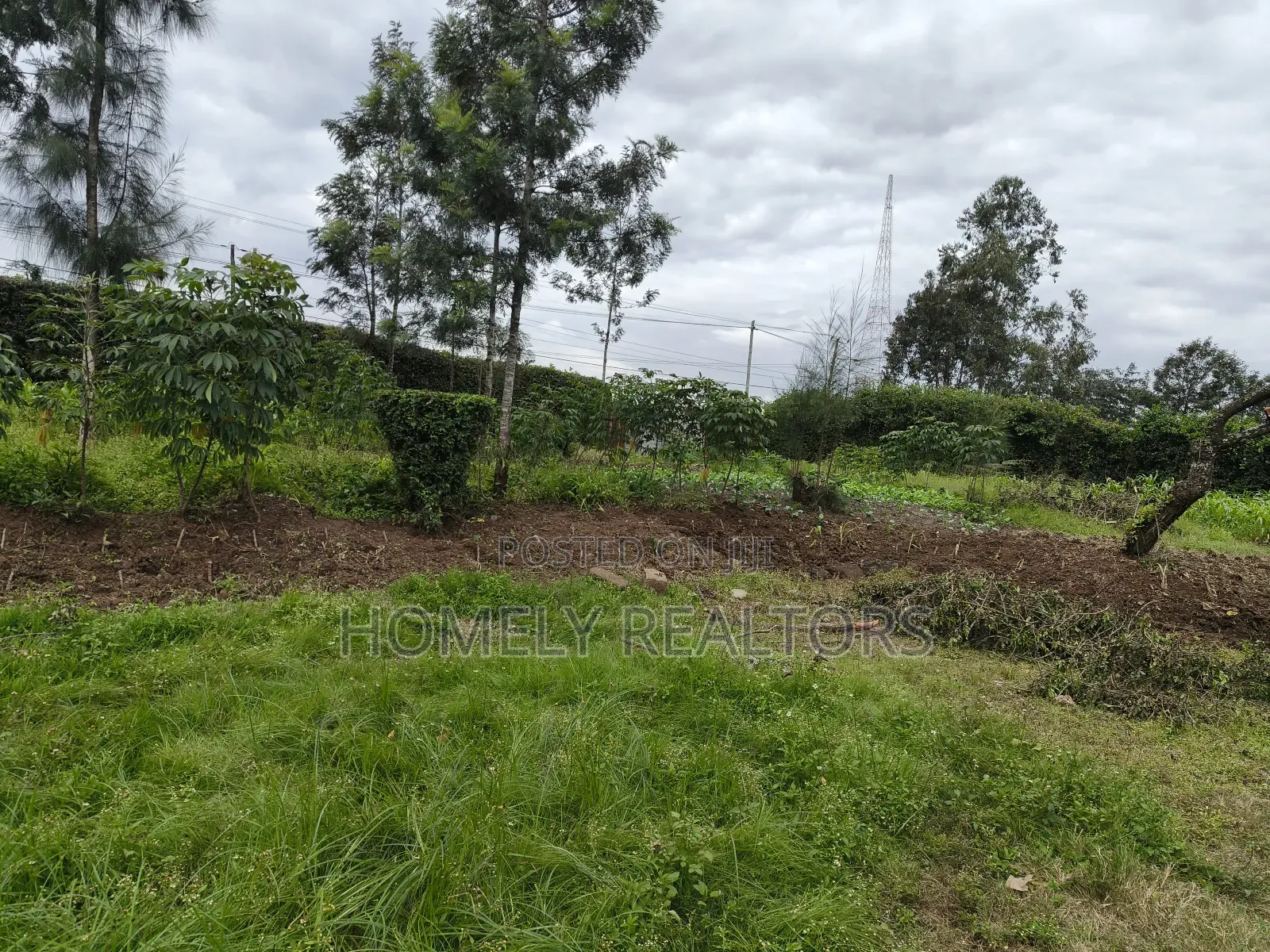 Quarter Acre Plot in Ngong, Kerarapon Drive Touching Tarmac in Kerarapon