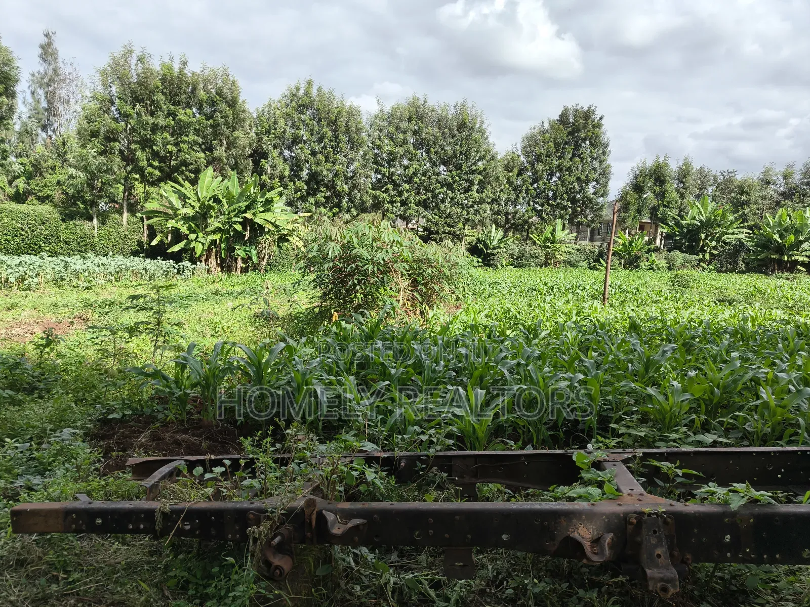 Quarter Acre Plot in Ngong, Kerarapon Drive Touching Tarmac in Kerarapon