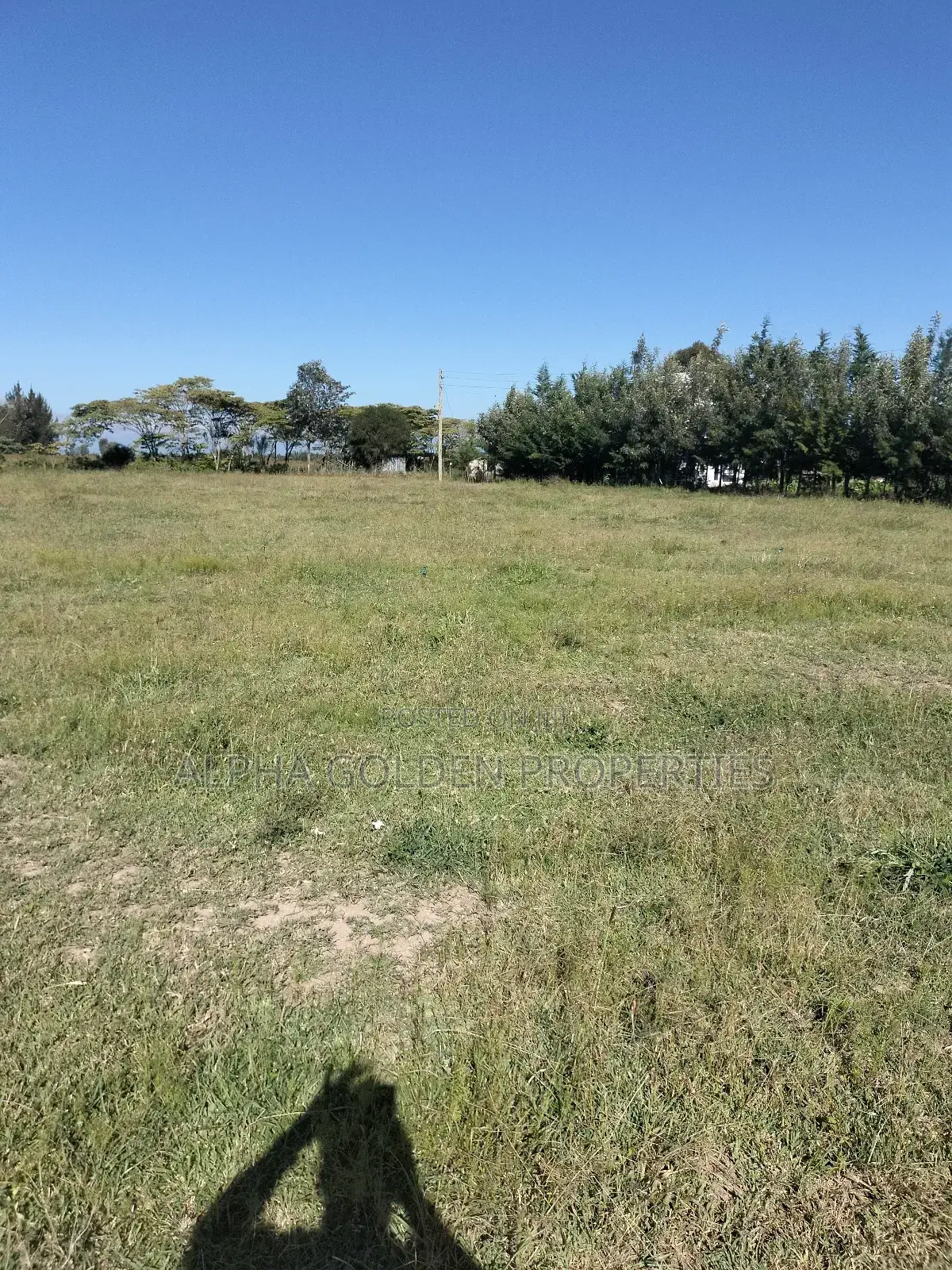 Land 1/2 Acre in Nalanya Estate Nanyuki in Gakawa