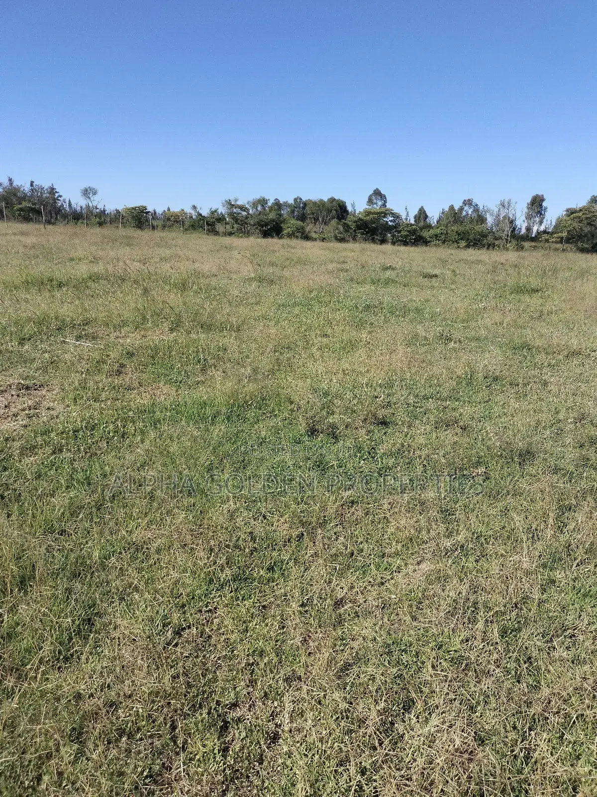Land 1/2 Acre in Nalanya Estate Nanyuki in Gakawa