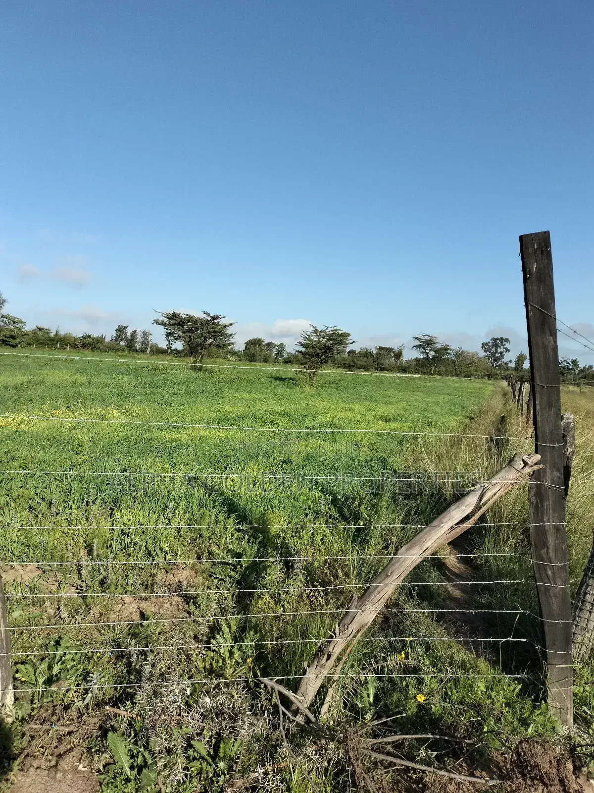 Land 5 Acres , 100 Metres From Nanyuki-Nairobi Tarmac in Gakawa