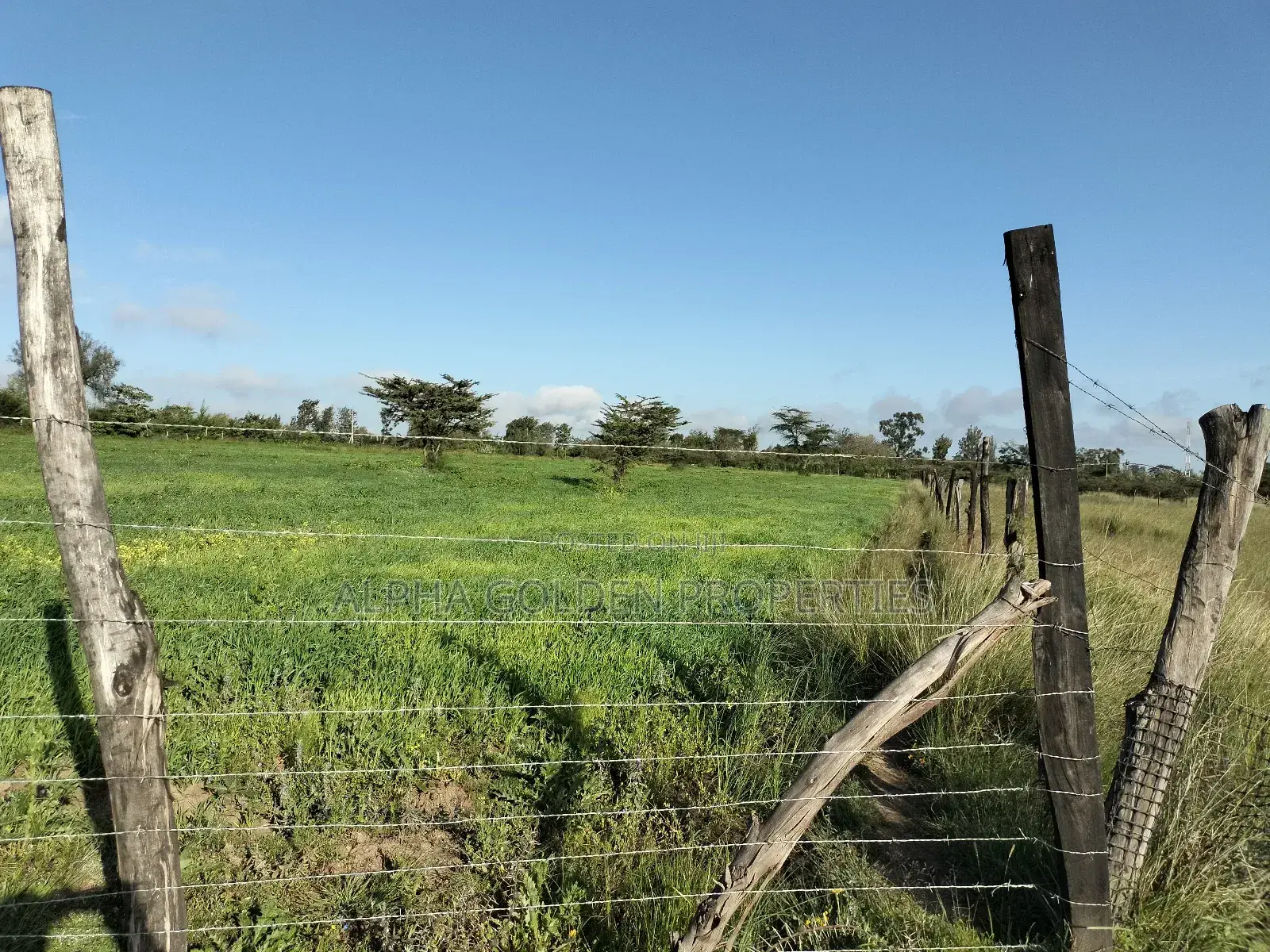 Land 5 Acres , 100 Metres From Nanyuki-Nairobi Tarmac in Gakawa