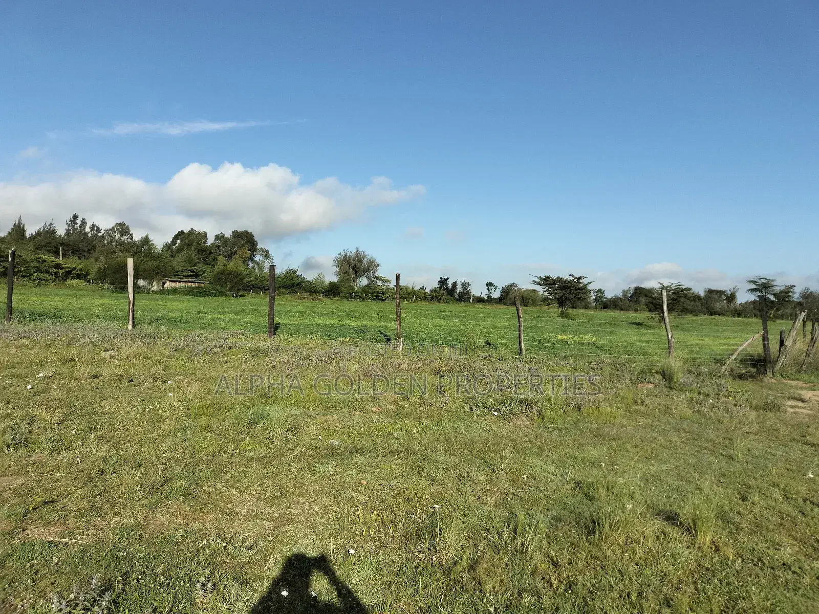 Land 5 Acres , 100 Metres From Nanyuki-Nairobi Tarmac in Gakawa