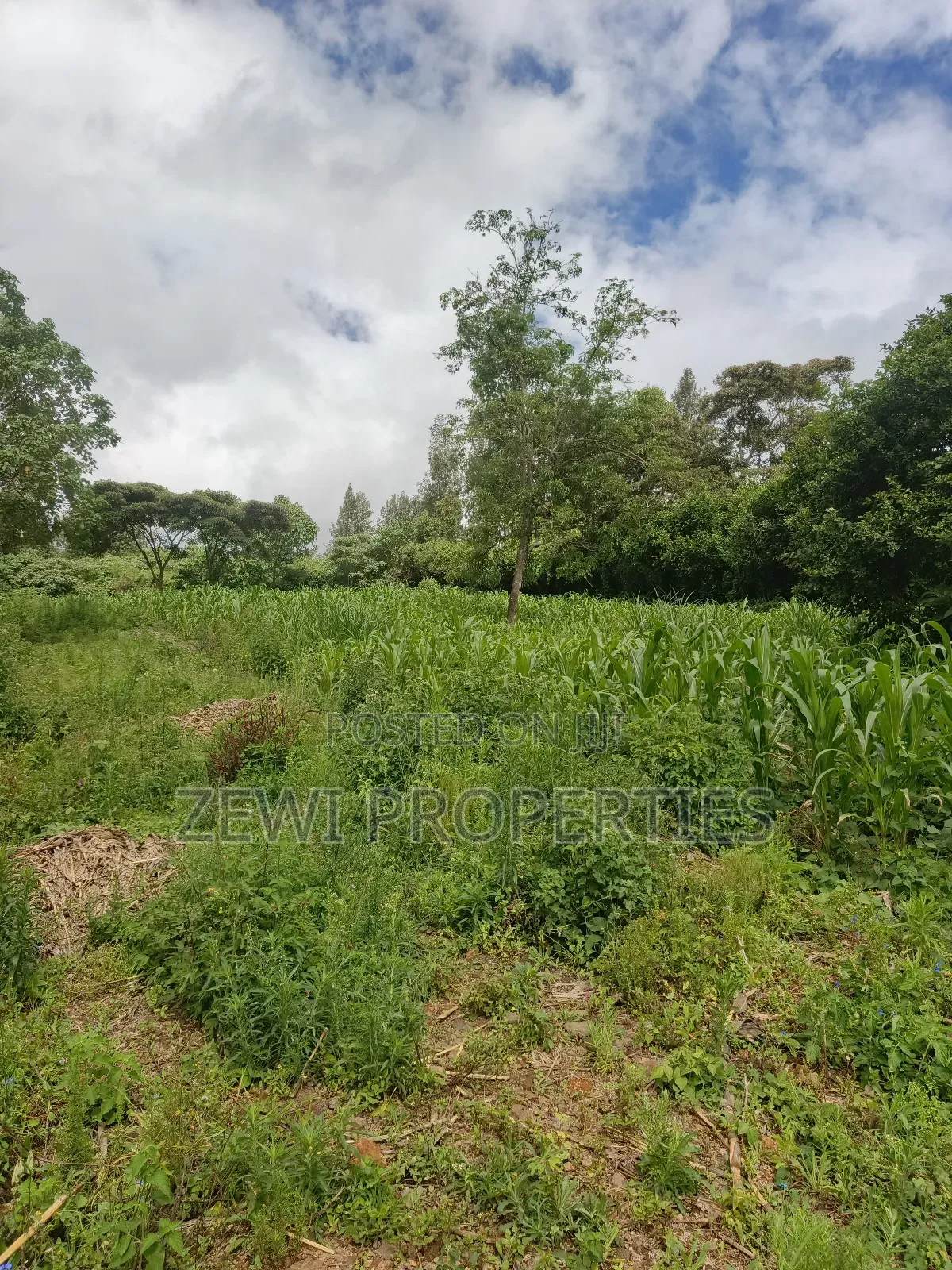 1/8 Acre Ngong in Ngong
