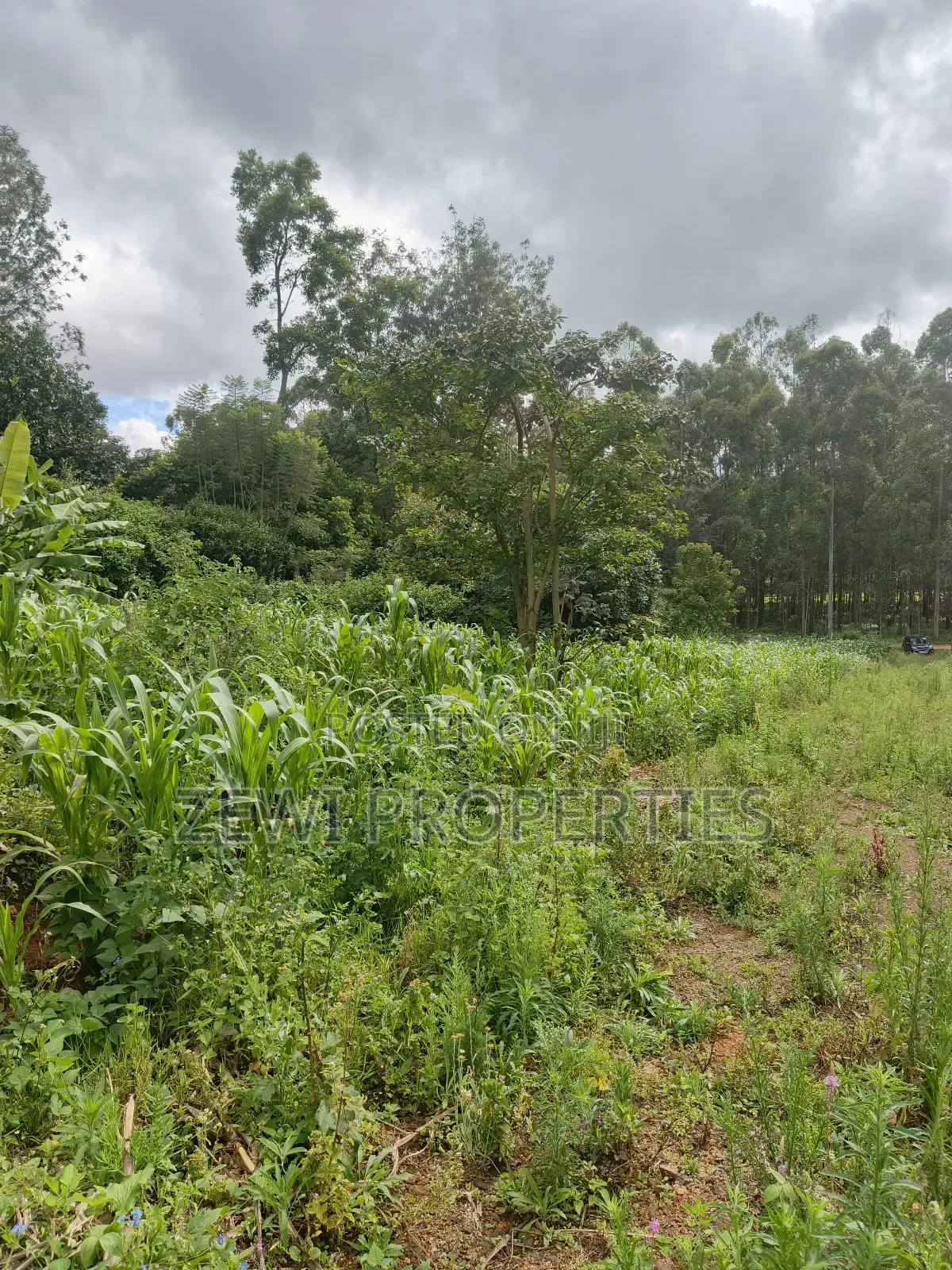 1/8 Acre Ngong in Ngong