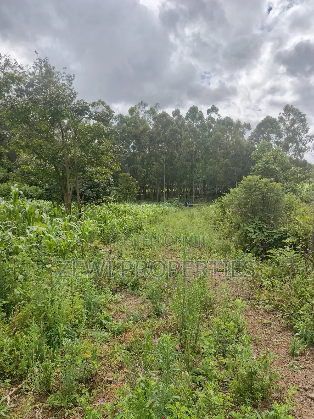 1/8 Acre Ngong in Ngong