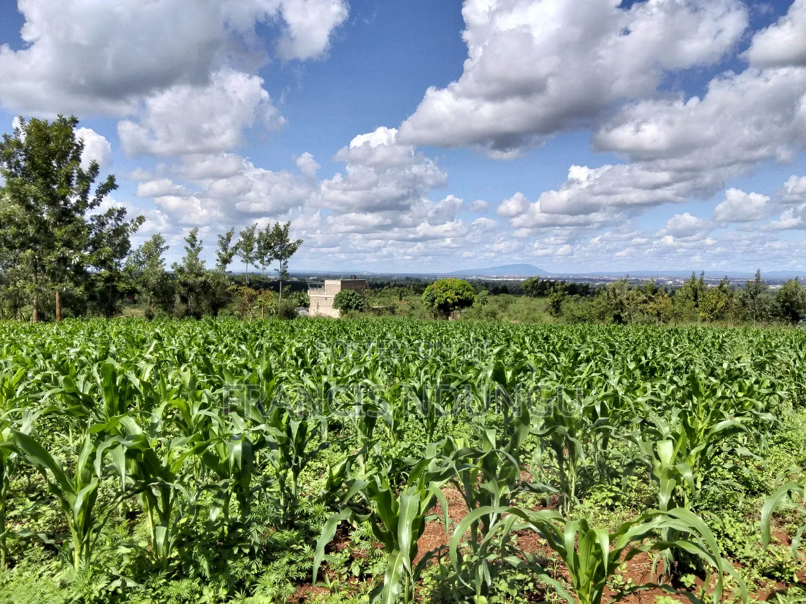 Residential Plot Matropi Estate Kiambu Town. in Tinganga