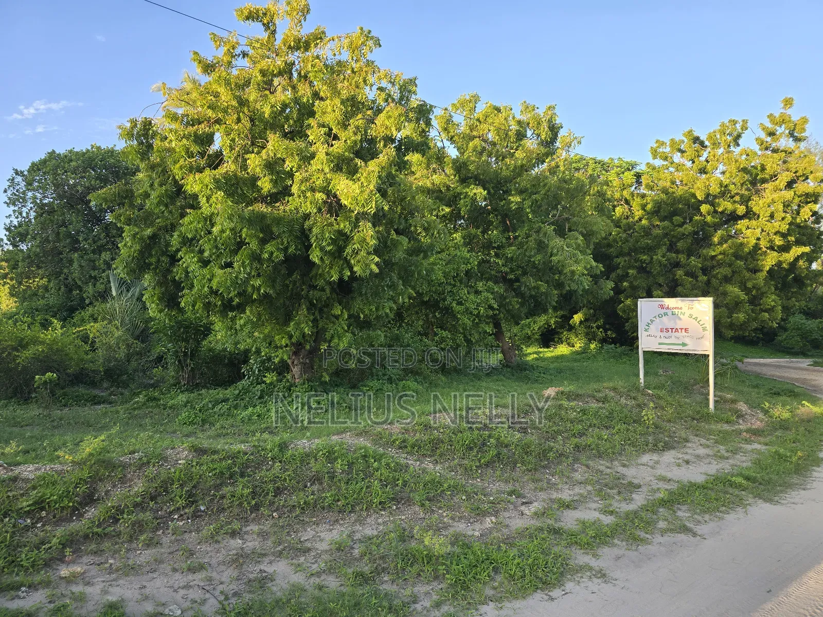 Kikambala 2nd Row From Beach 12.5 Acres for Sale in Kikambala