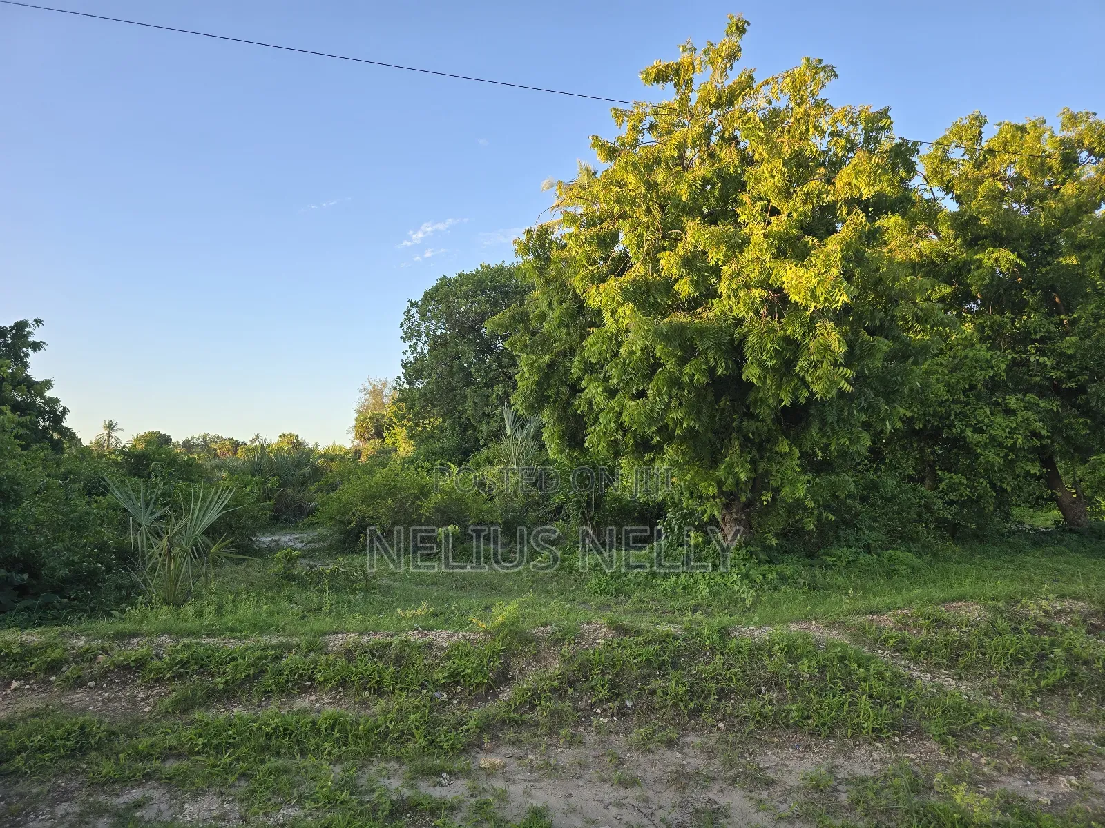 Kikambala 2nd Row From Beach 12.5 Acres for Sale in Kikambala