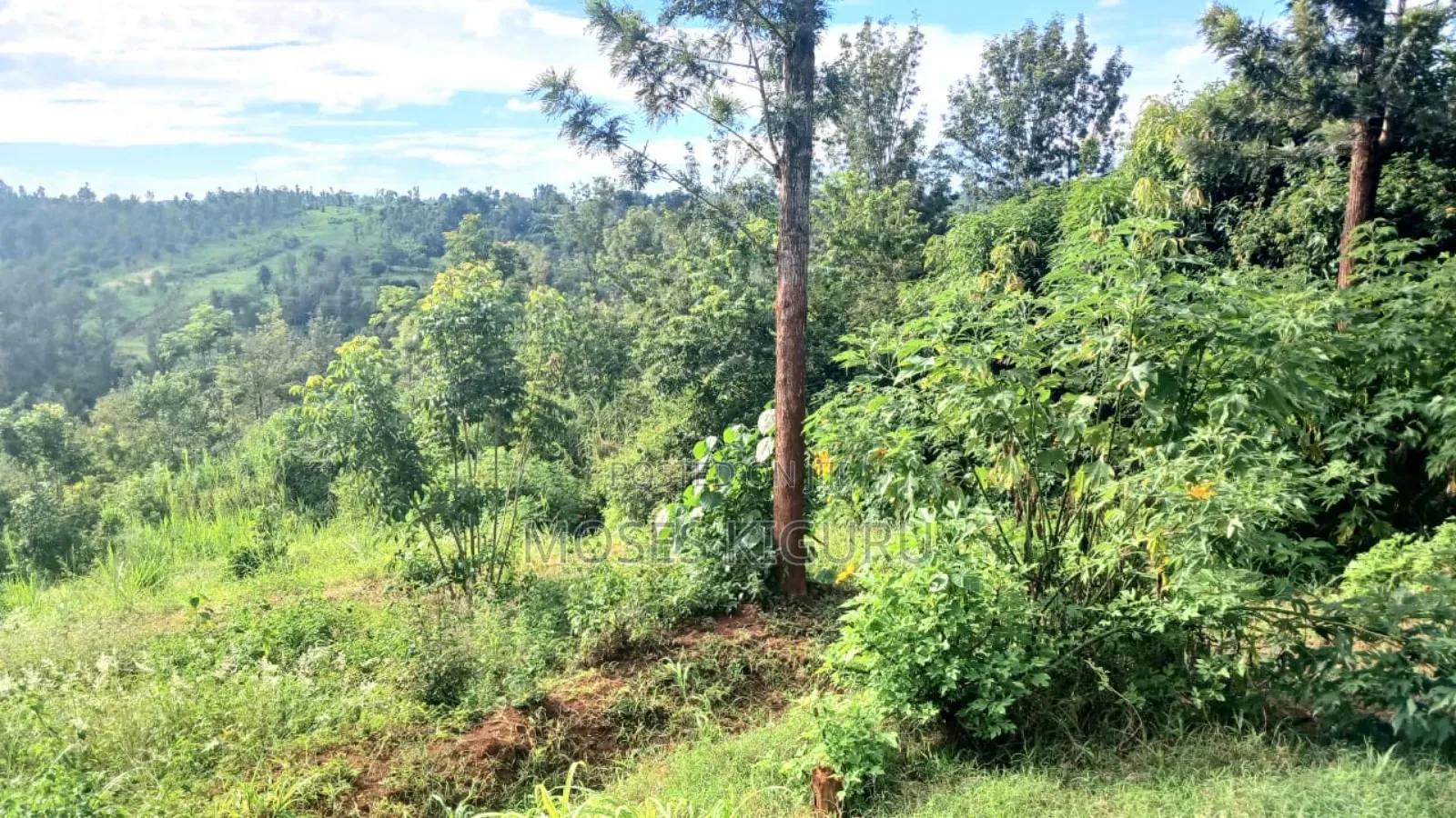 Muranga, 1 3/4 Acres, 3 Bedroom House. in Mugoiri