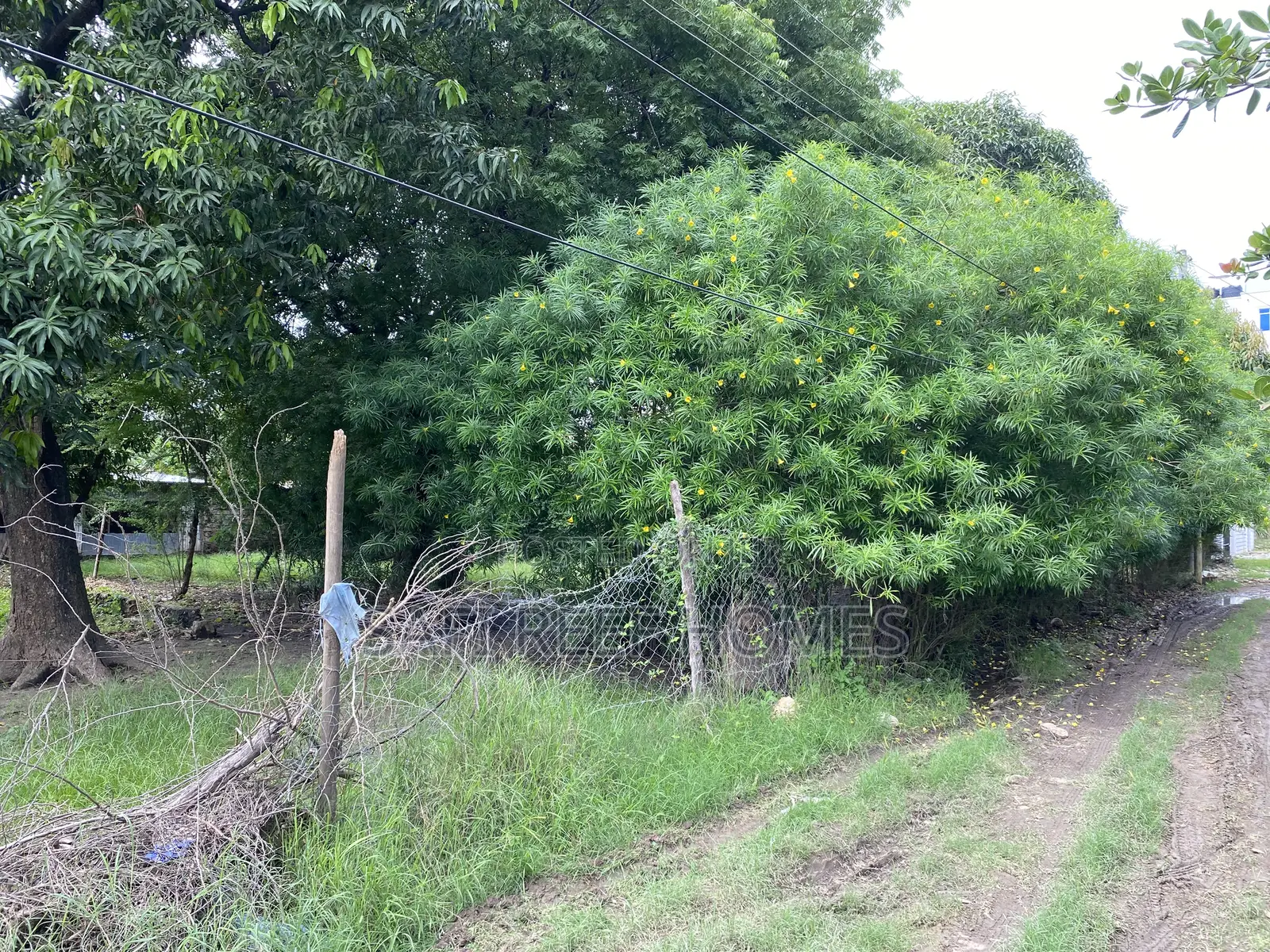 Prime Plots for Sale JCC Road Bamburi in Bamburi