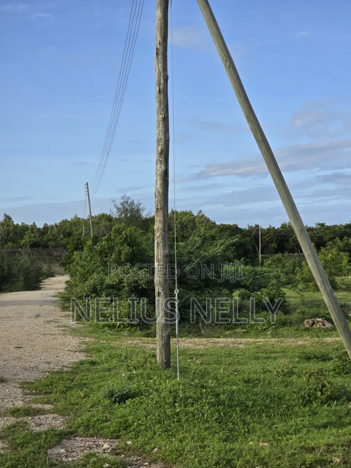 2nd Row Beach Plots 1/4 Acre Bofa Kilifi in Kilifi North