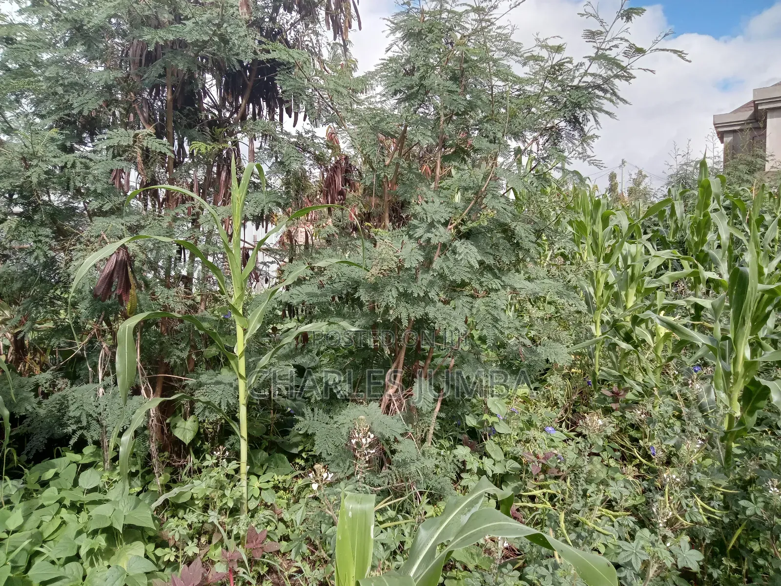 Muigai Plot for 2.7m in Kitengela