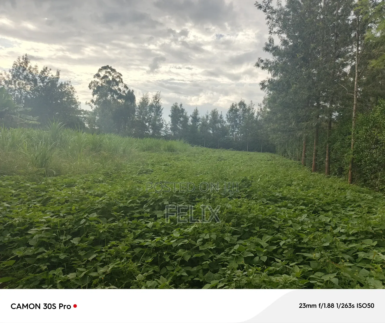 Nyeri/Kimathi Quota Acre in Dedan Kimanthi