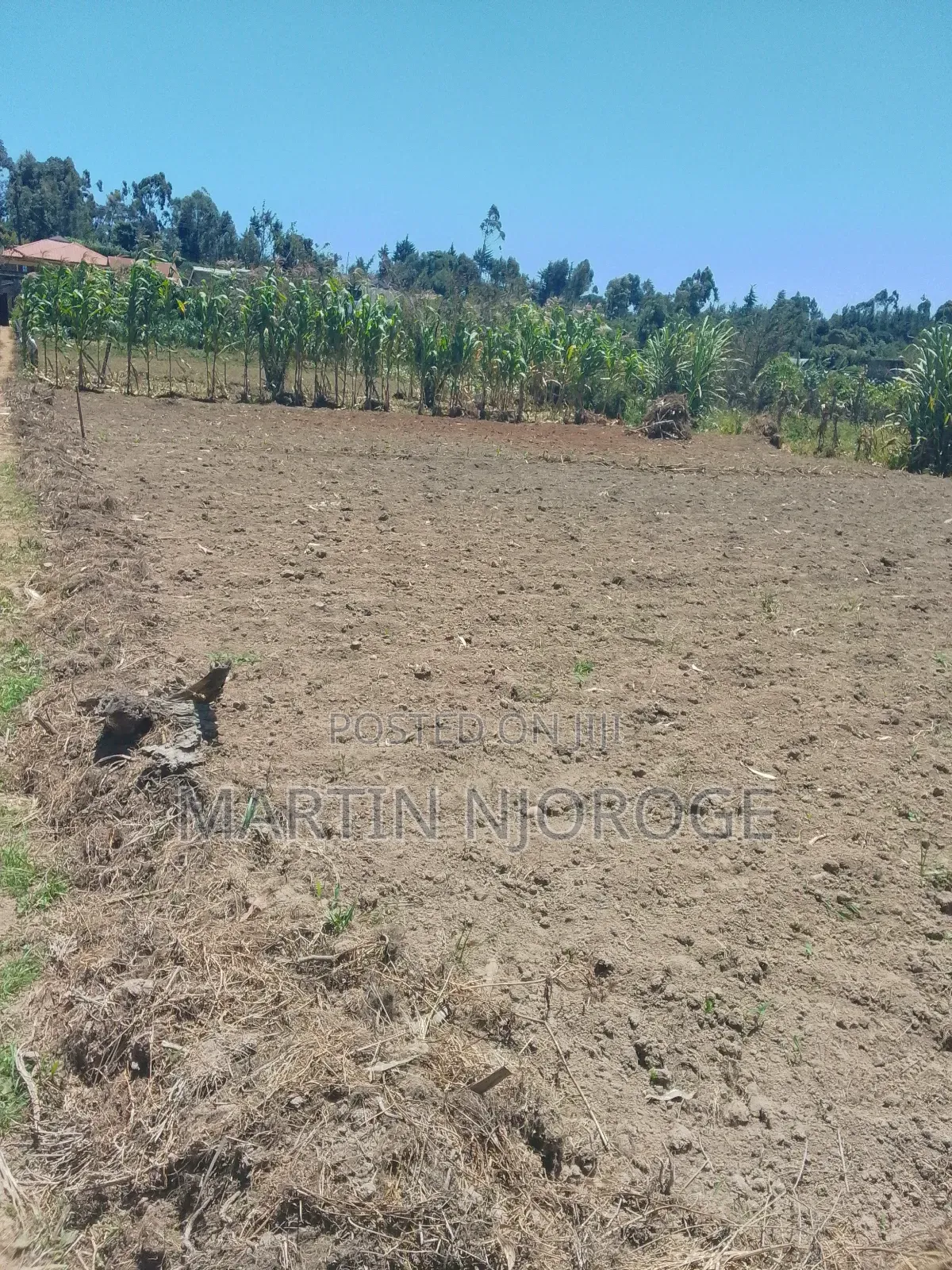6 Acres Mwiciringiri in Naivasha East