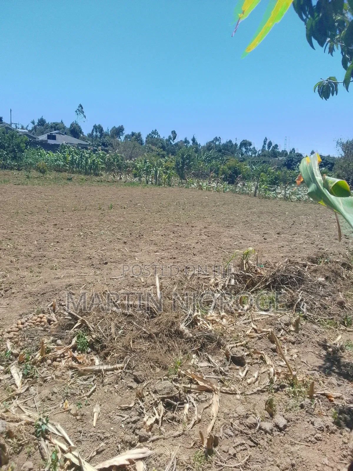 6 Acres Mwiciringiri in Naivasha East